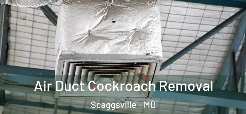  Air Duct Cockroach Removal Scaggsville - MD