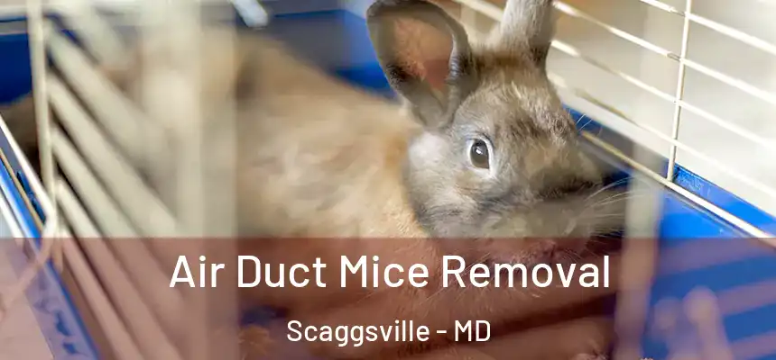 Air Duct Mice Removal Scaggsville - MD