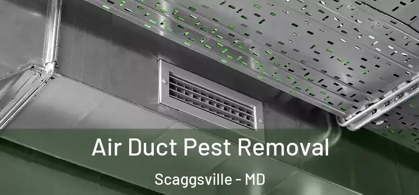 Air Duct Pest Removal Scaggsville - MD