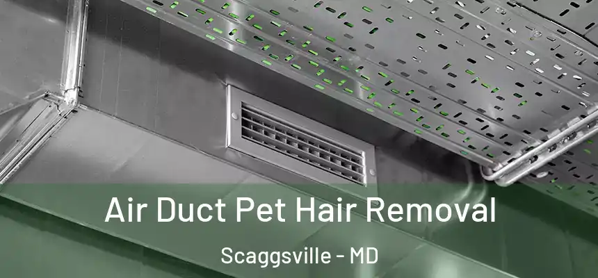  Air Duct Pet Hair Removal Scaggsville - MD