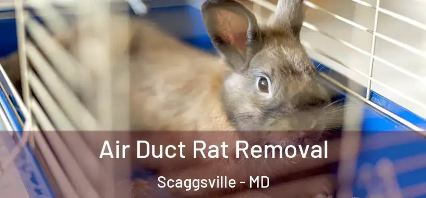  Air Duct Rat Removal Scaggsville - MD
