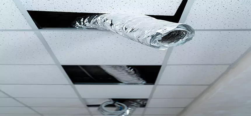 Affordable HVAC Sanitizing After Pest Removal in Scaggsville