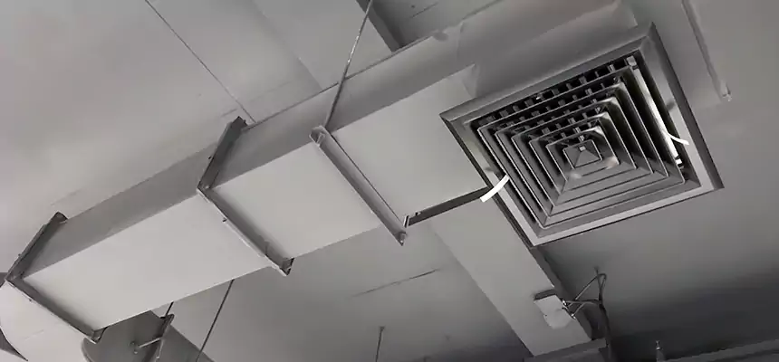 Restorative Allergy Relief Vent Cleaning – Coil, Blower & Housing Detail in Scaggsville