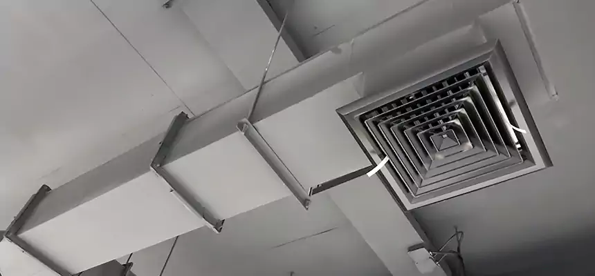 Our Rodent Droppings In Vents Services in Scaggsville, MD