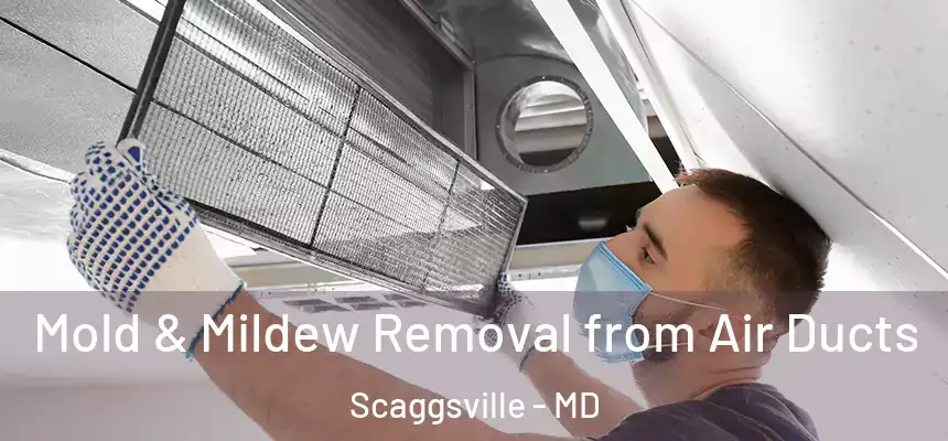  Mold & Mildew Removal from Air Ducts Scaggsville - MD