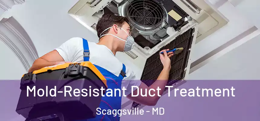  Mold-Resistant Duct Treatment Scaggsville - MD