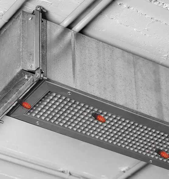 About Air Duct Cockroach Removal in Scaggsville, MD