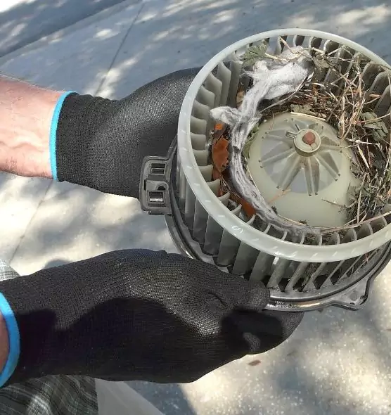 About Air Duct Mice Removal in Scaggsville, MD