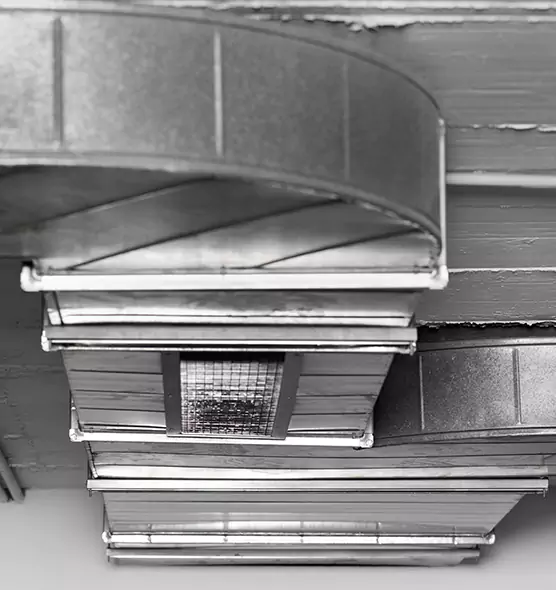 Professional Air Duct Pest Removal in Scaggsville, MD