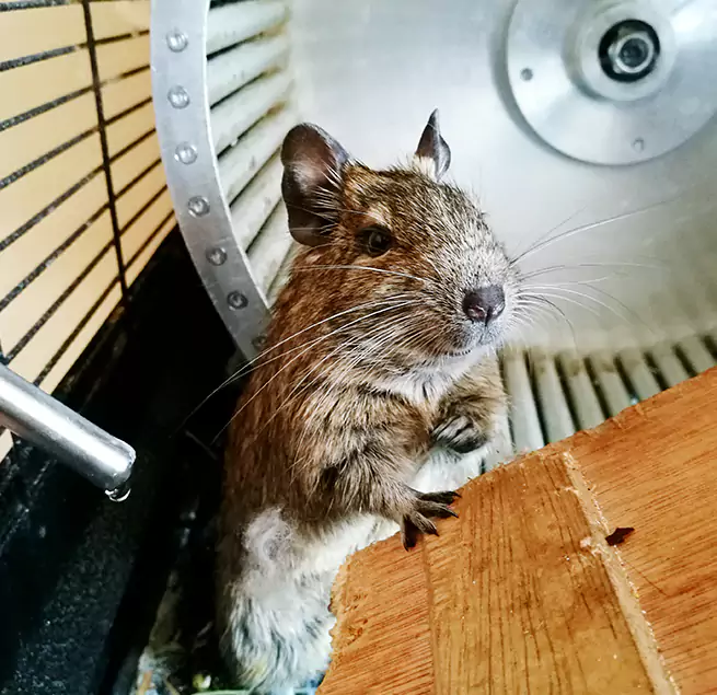 Why Homeowners & Businesses Trust Us Scaggsville, MD?