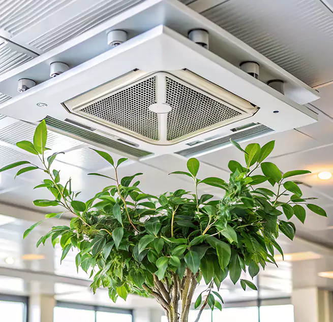 Why Homeowners & Businesses Trust Us in Scaggsville, MD?