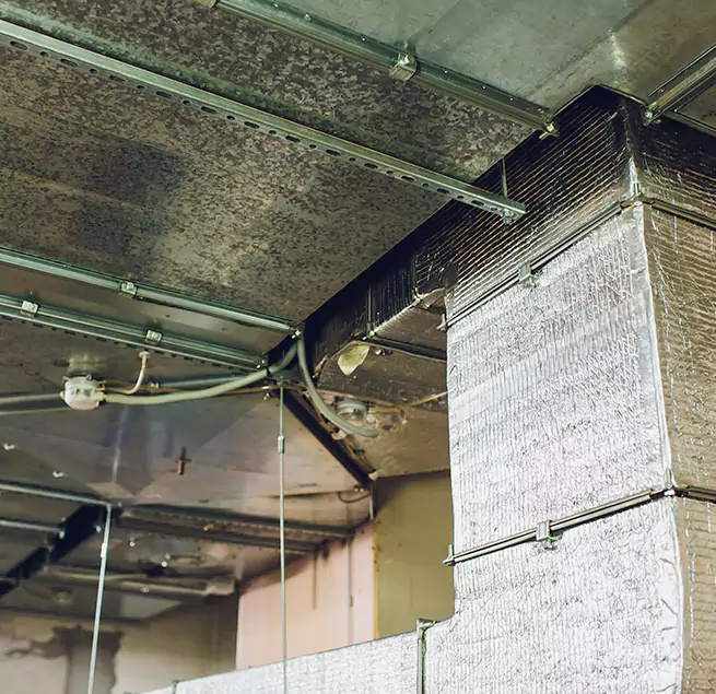 Why Homeowners & Businesses Trust Us in Scaggsville, MD?